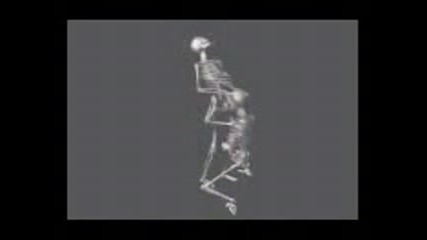 Анимация - Скелет