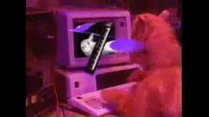 Alf Drift