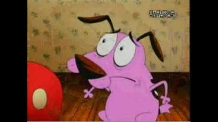 The Forum Of Courage The Cowardly Dog