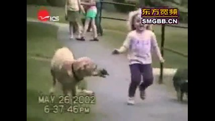 Забавни кучета 
