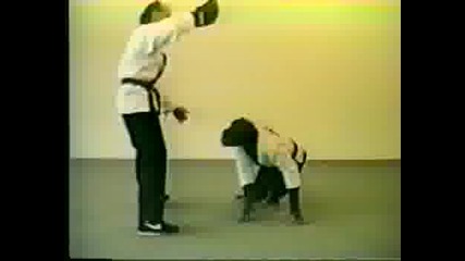real monkey doing kung fu