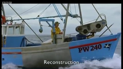 A fishermans shark tale - Sharks Great Whites in Britain - Bbc 