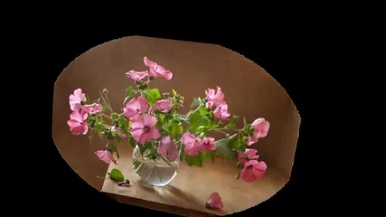 Хубав ден с много цветя и настроение... ...