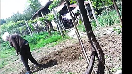Йона 2023_05_23.mp4