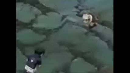 Sasuke shippuuden tribute 