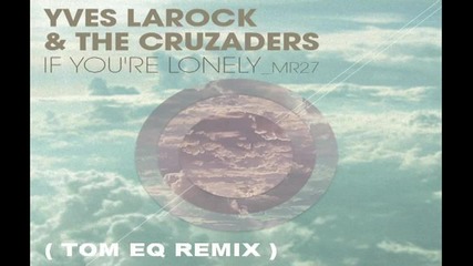 Yves Larock And The Cruzaders - If You're Lonely ( Tom Eq Remix ) [high quality]