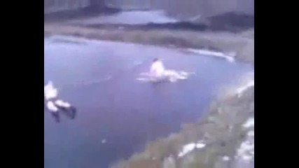 Smiah - Glupak Si Razbiva Glavata V Leda 