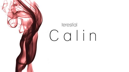 Calin - Music Is Always On Your Side 2011
