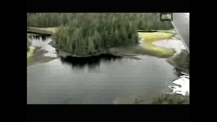 Weird True & Freaky - Wtf - Killer Whale Rescue