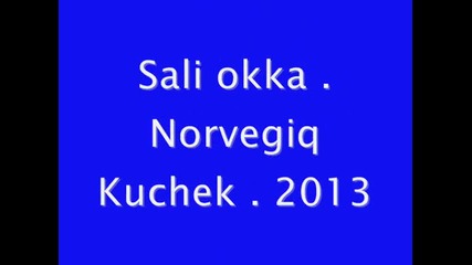 Sali okka -- Norvegiq Kuchek 2o13