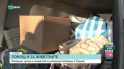 Потегли първата помощ за животни в пострадалите райони в Турция