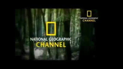 National Geographic Channel A Man Among Wolves Trailer