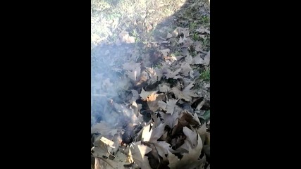Пролетно опушване против комари в парка на село Рогозен - ден 2