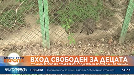 Столичният зоопарк отваря врати в подкрепа на пострадали от войната