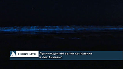 Луминисцентни вълни се появиха в Лос Анжелис