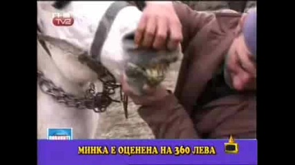 Господари На Ефира - Смях