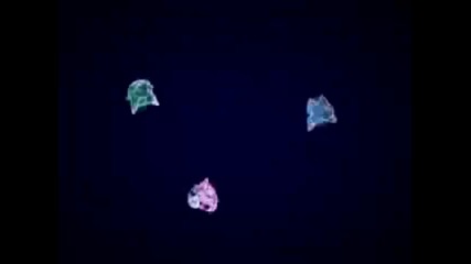 Pop Secret 