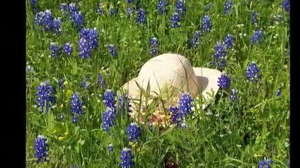 Chris Rea - Texas - Bg Prevod