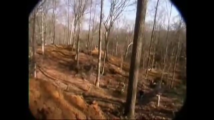 Travis Pastrana Freestyle 