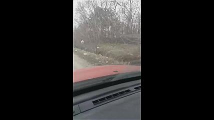 Боклуци покрай пътя