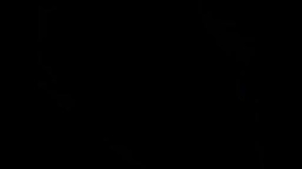 Jesse Mccartney