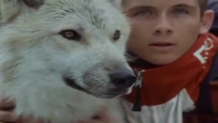 Дидюля — Охота на Волка