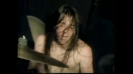 Nirvana - In Bloom 