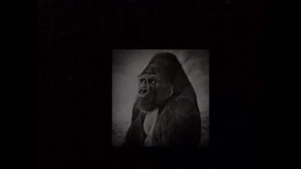 frank pahl - darkness rising 