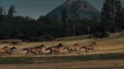 Ludovico Einaudi - Run