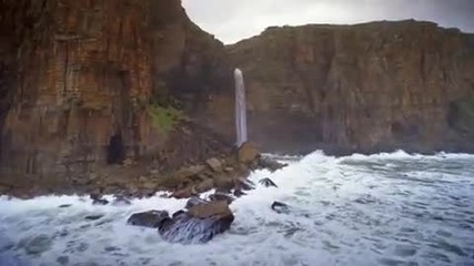 Wonderful Wild Ocean [hd]
