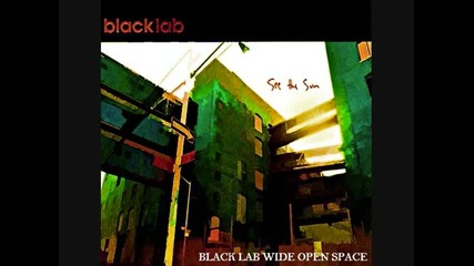Black lab - Wide open space