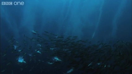 Underwater Armageddon - Nature s Great Events - The Great Tide 