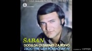 Saban Saulic - Dodji da ostarimo zajedno - (Audio 1978)