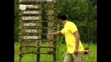 Survivor  Bg