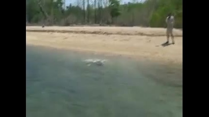 Man Vs. Shark Vs. Crocodile 