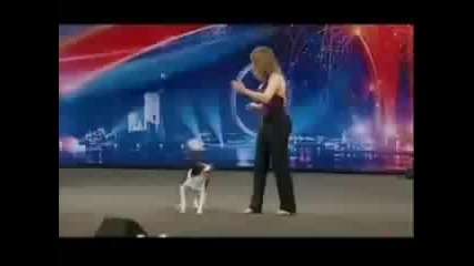 Britains Got Talent - Много умно и сладко куче