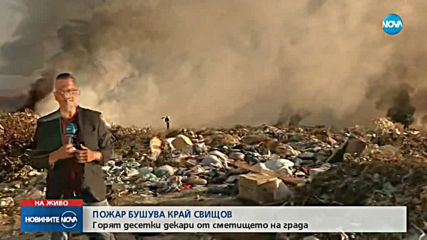 Новините на NOVA (14.08.2019 - централна емисия)