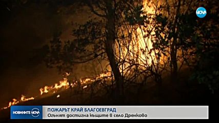 Близо 400 декара иглолистна гора опустоши пожар край Благоевград