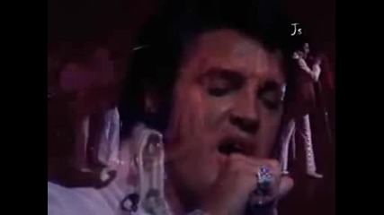 Elvis Presley - Little Sister