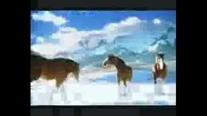 Funny Snow Horses