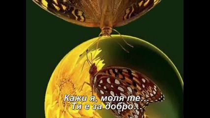 Най - красивата лъжа - Нотис Сфакианакис /превод/ 