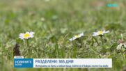 Визова одисея разделя семейство