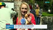 Кое е най-здравото яйце във Варна?