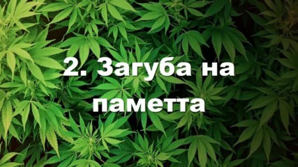 5 Интересни мита за Марихуаната