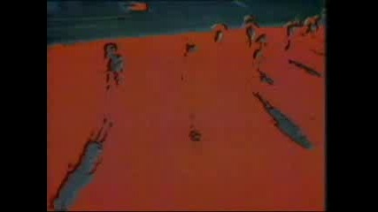Bicycle Race