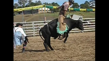 bull riding 2 