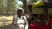 Екстремна жега: Студен душ и близалки за животните в зоопарк в Камбоджа (ВИДЕО)