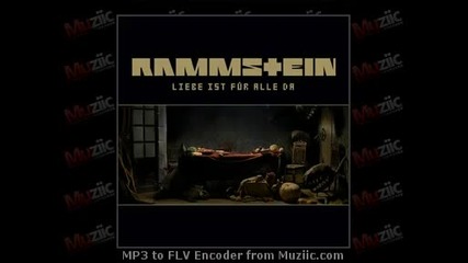 Rammstein - Donaukinder 