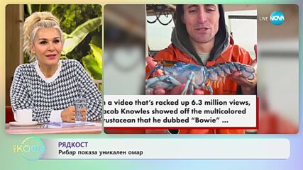 РЯДКОСТ: Рибар улови уникален омар в САЩ