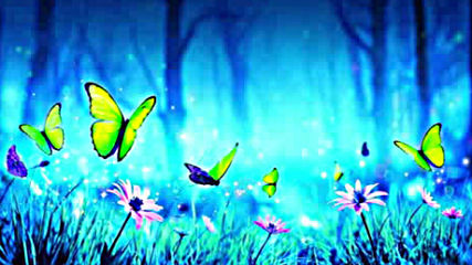 Celtic Fantasy Music Butterfly Night Enchanted Magical Nature 1 hour